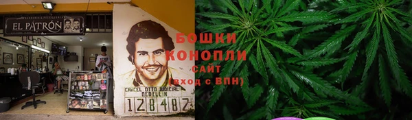 стаф Инта
