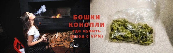 стаф Инта
