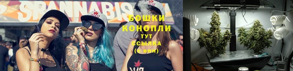 стаф Инта