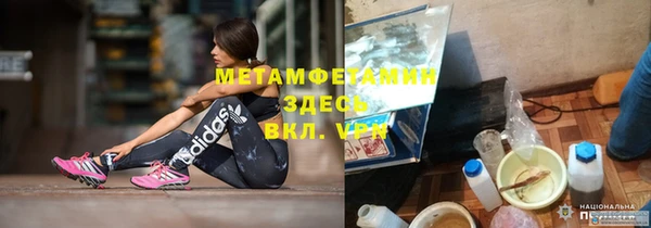 стаф Инта