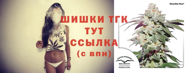 стаф Иннополис