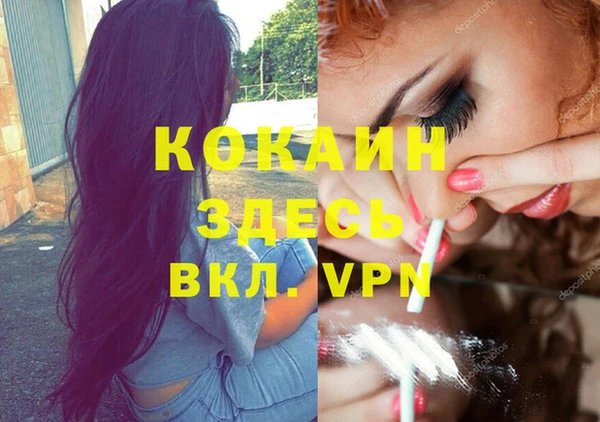 стаф Инта