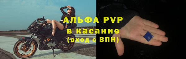 стаф Инта
