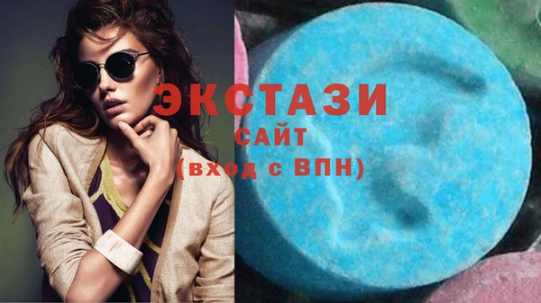 стаф Инта