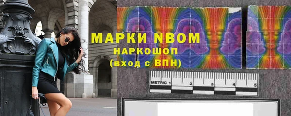 стаф Инта