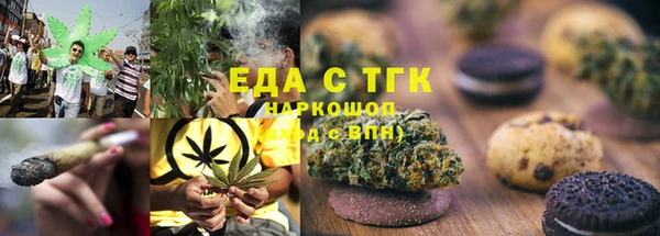 стаф Инта