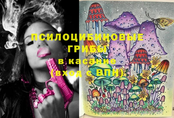мяу мяу кристалл Инсар