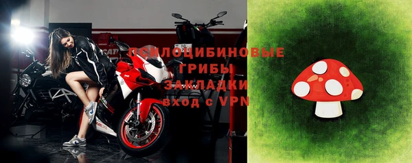 стаф Инта