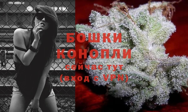 стаф Иннополис