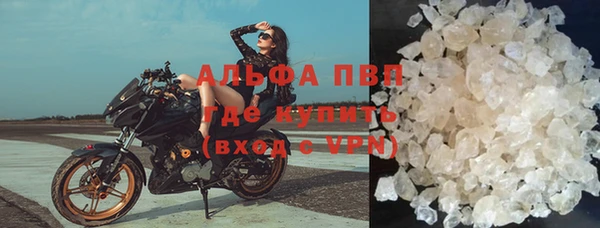 стаф Инта