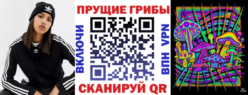 Купить закладки  Зея  Псилоцибиновые грибы Psilocybe 